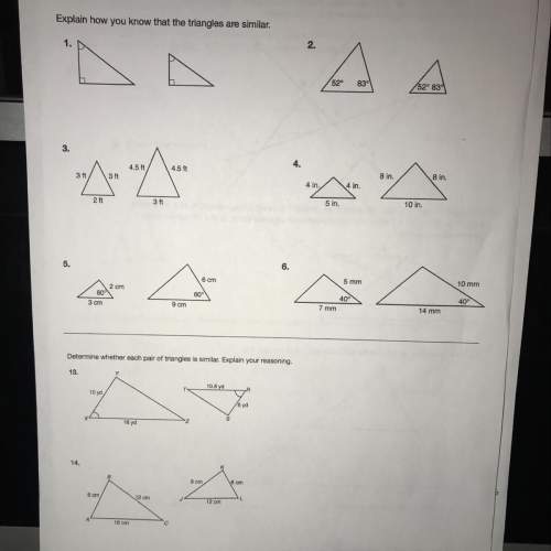 Explain how you know the triangles are similar.
