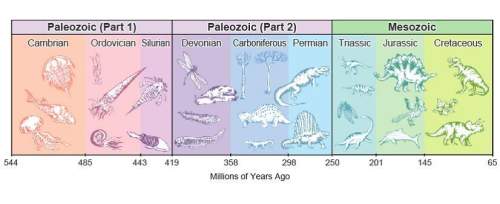 Tudy the images about geologic time. what is a noticeable difference between