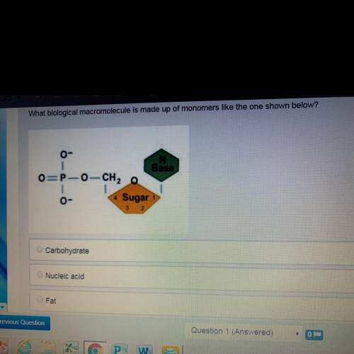 a. carbohydrate  b. nucleic acid c. fat d. protein