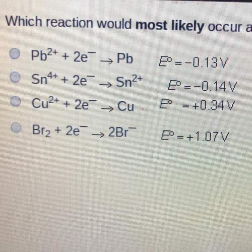 Which reaction would most likely occur at the cathode of an electrochemical cell?