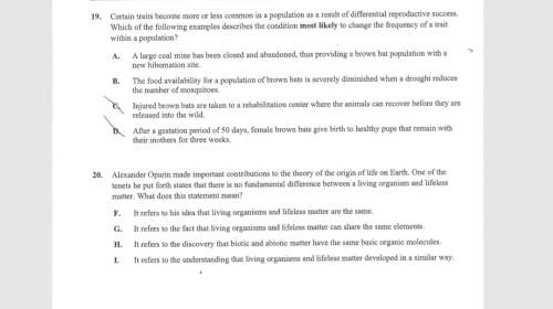 Can someone me out with this multiple choice question? (biology)