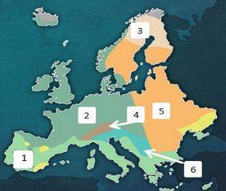 A. mediterranean b. humid subtropical c. marine west coast d.