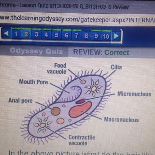In the picture above what do the hair like structures called cilia allowed the paramecium to do?