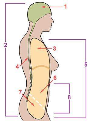 Using your knowledge of the medical terminology that healthcare professionals and scientists use, id