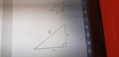 The triangles are similar. what is the value of x?