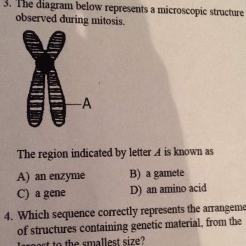 The region indicated by letter a is known as