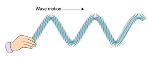 What is the motion of the particles in this kind of wave?  a) the particles will move up