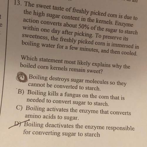 Can someone explain why the answer is d? you!