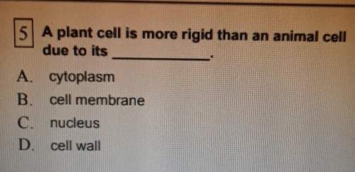 Will give the brainlest explain why the answer you chose is correct.