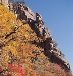 In late winter and spring chunks of rock often fall off of the cliff in the picture. what most likel