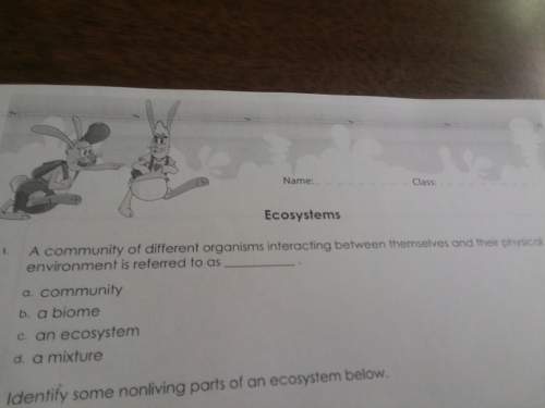 Identify some non living parts of an ecosystem below