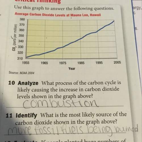 Did i do these questions correctly?