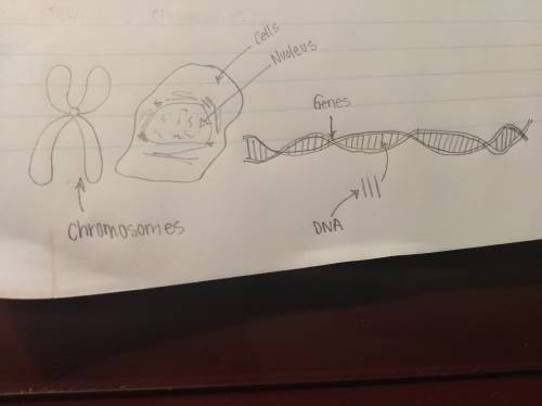 Identify the structures !  20 points