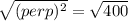 \sqrt{(perp)^{2} }=\sqrt{400}