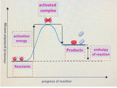 The potential energy diagram shows the gain and loss of potential energy as water molecules decompos