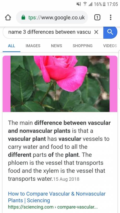 Name 3 differences between vascular and non vascular plants
