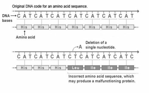 Asection of dna encodes a gene for an enzyme involved in cellular metabolism. if a mutation event oc