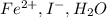 Fe^{2+}, I^{-}, H_{2}O