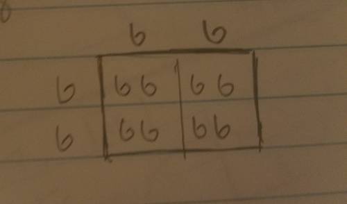 Black fur b in guinea pigs is dominant over white fur b. find the probability of a black offspring i