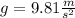 g=9.81\frac{m}{s^{2}}