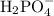 \text{H}_2\text{PO}_4^{-}