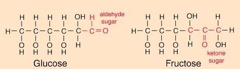 How does the isomeric structure of a carbohydrate affect its chemical behavior?