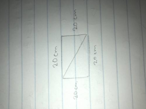 You want to divide a square piece of paper into two equivalent triangle if the square measures 20m i