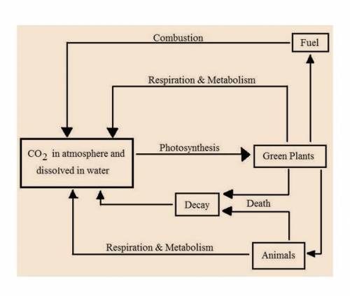 Which of the following statements best describes how matter moves through the biosphere?  a. matter