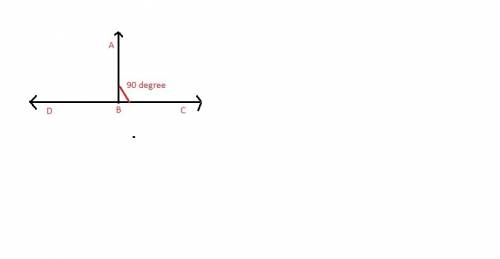 What is the format of this proof?  given:  ∠abc is a right angle, ∠dbc is a straight angle prove:  ∠