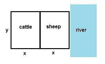 Arancher needs to enclose two adjacent rectangularâ corrals, one for cattle and one for sheep. if th