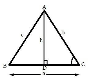 Consider the diagram and the derivation below. given:  in △abc, ad ⊥ bc derive a formula for the are