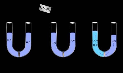 In the osmosis gizmo, the cell is placed in a very small chamber. suppose a cell is placed in a larg