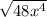 \sqrt{48x^4}