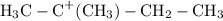 \text{H}_3\text{C}-\text{C}^{+}(\text{C}\text{H}_3)-\text{CH}_2 - \text{CH}_{3}