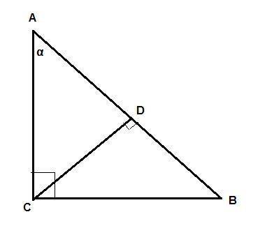 In triangle δabc, ∠c is a right angle and cd is the height to ab, find the angles in δcbd and δcad i