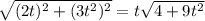 \sqrt{(2t)^2 + (3t^2)^2} = t\sqrt{4+9t^2}