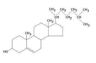 Cholesterol is an organic steroid in mammalian cells that controls membrane permeability and fluidit