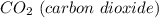 CO_{2}~(carbon~dioxide)