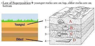 The table below shows the age of fossils found in four separate layers of an undisturbed rock:  foss