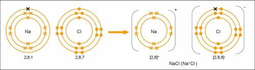 What type of chemical bond forms between positive and negative ions?  (1 point)?