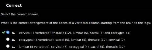 What is the correct arrangement of the bones of a vertebral column starting from the brain to the le