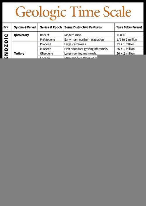 What do scientists use to describe the timing of events that occurred throughout earth's history?  r