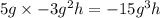 5g \times -3g^2h = -15g^3h