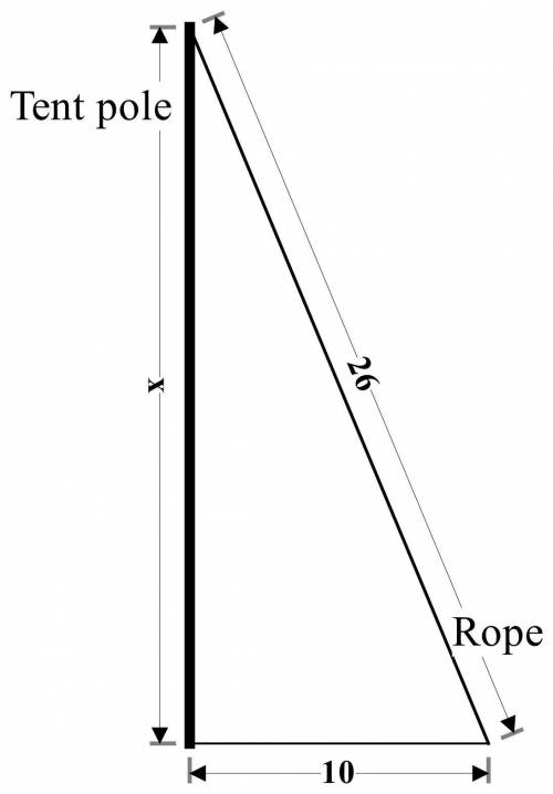 A26-foot rope is used to brace a tent pole at the county fair. the rope is anchored 10 feet from the