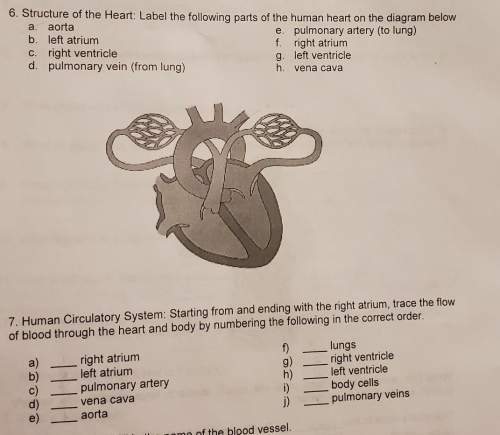 Hey if you know this , it doesn't have lines indicating to where so i'm confused, also need with n