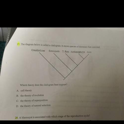 Explain why the answer choice is right .