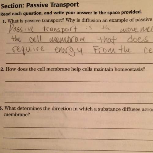 How does the cell membrane cells maintain homeostasis