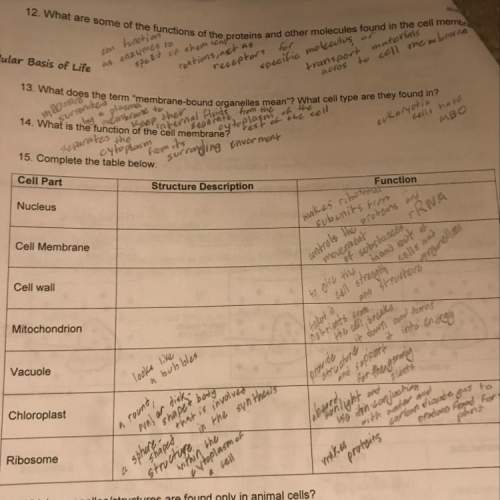 The structure description of mitochondrion, cell wall, cell membrane, and the nucleus