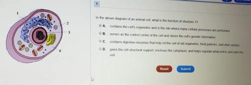 In the above diagram of an animal cell