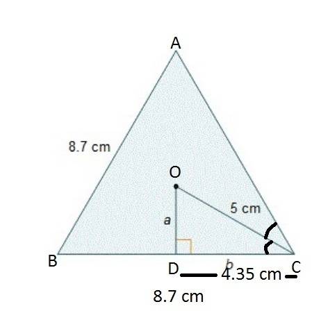 Which statements about finding the area of the equilateral triangle are true?  check all that apply.
